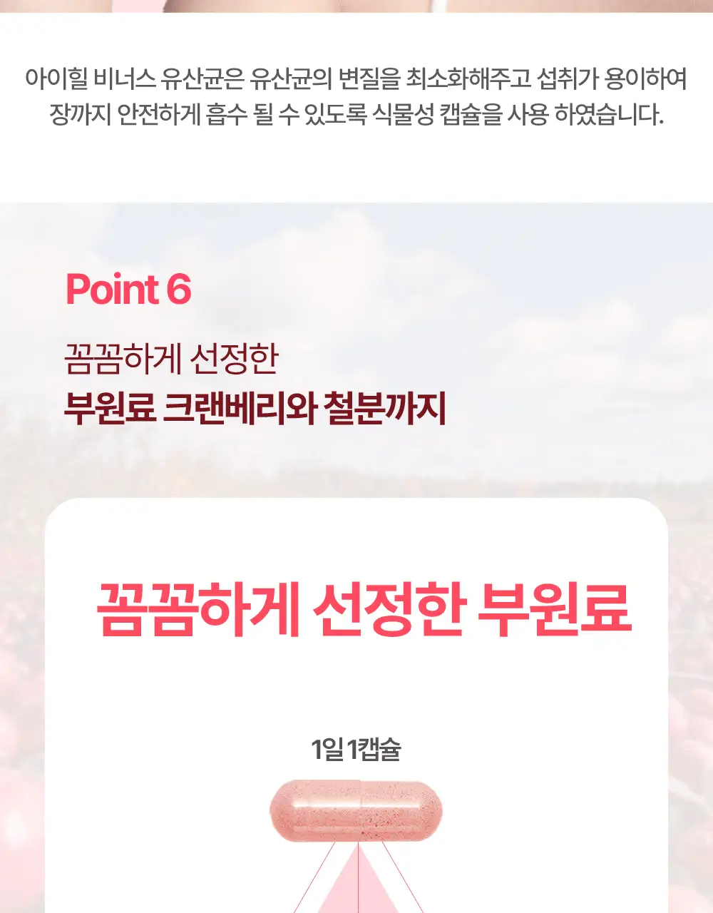 [한보름 Pick] 아이힐 비너스 유산균 30캡슐 상세페이지 19